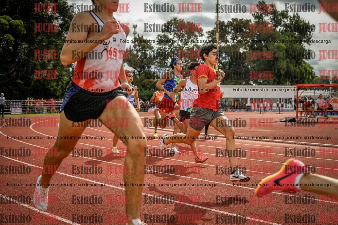 Fotos de los 800 m de varones
