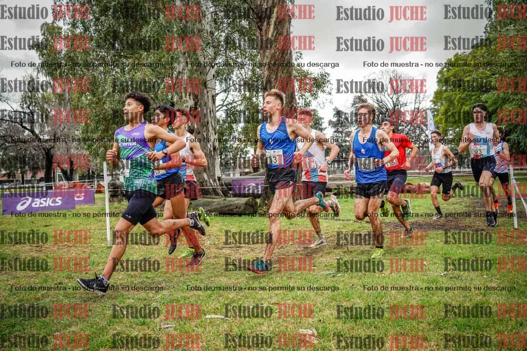 Fotos en el circuito