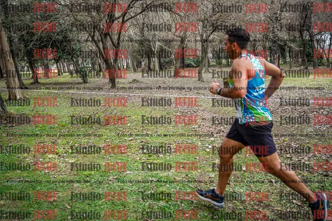 Fotos en el circuito