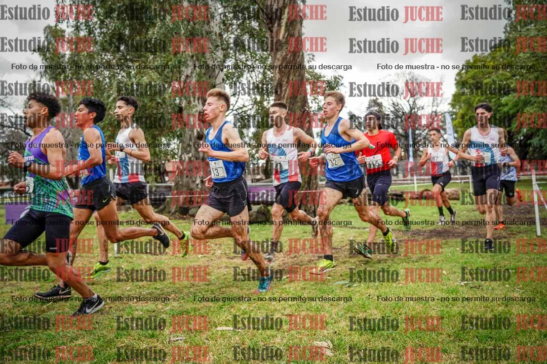 Fotos en el circuito