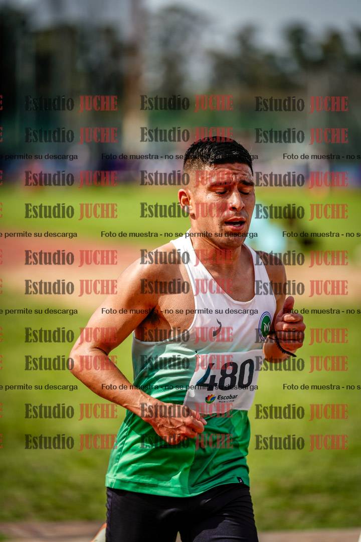 Fotos de los 3000 m llanos de varones