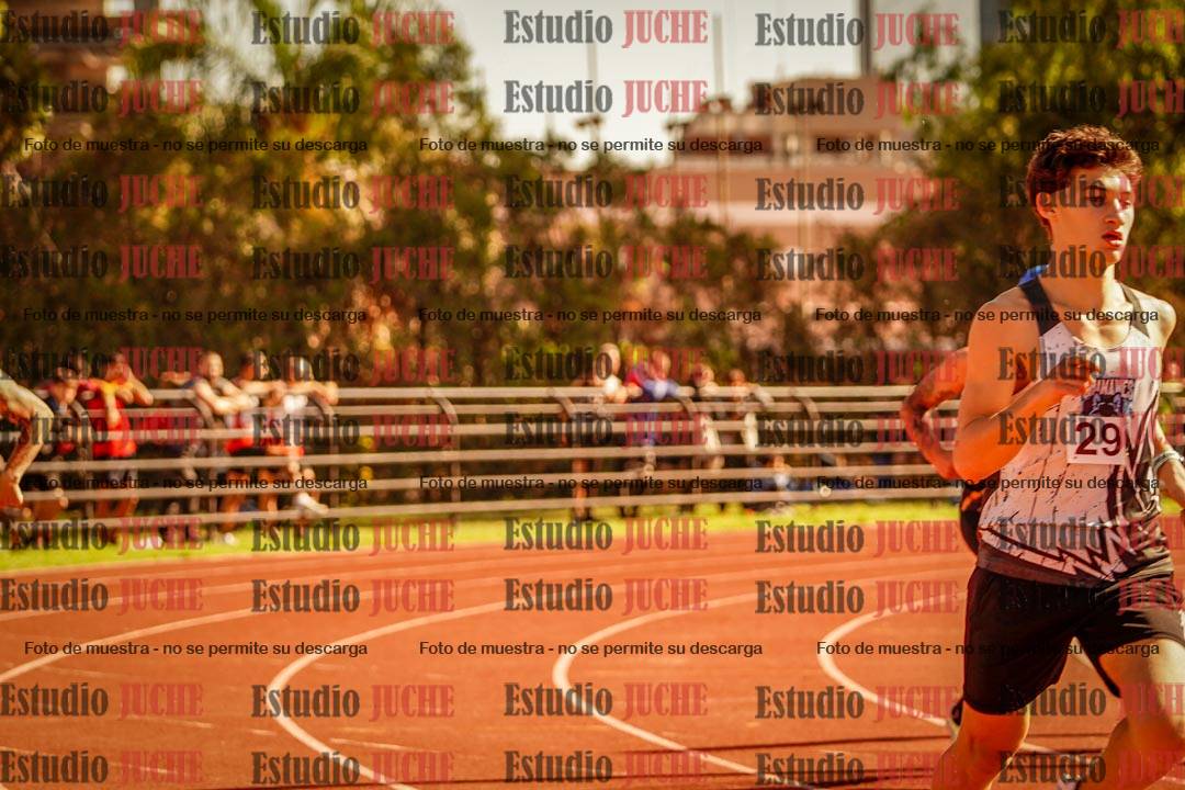 Fotos de los 800 m llanos de varones