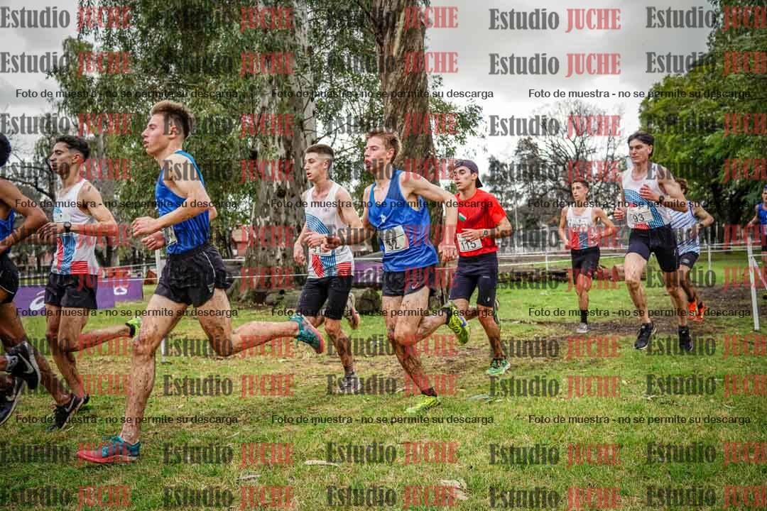Fotos en el circuito
