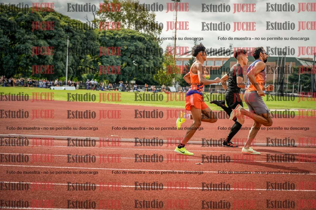 Fotos de los 800 m de varones
