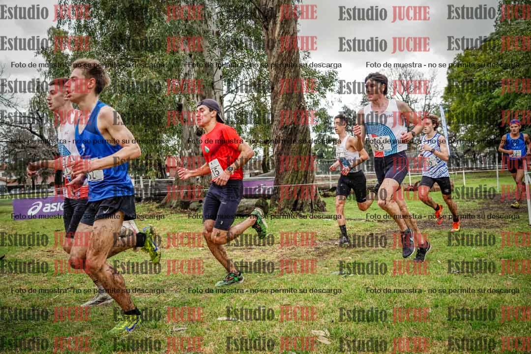 Fotos en el circuito