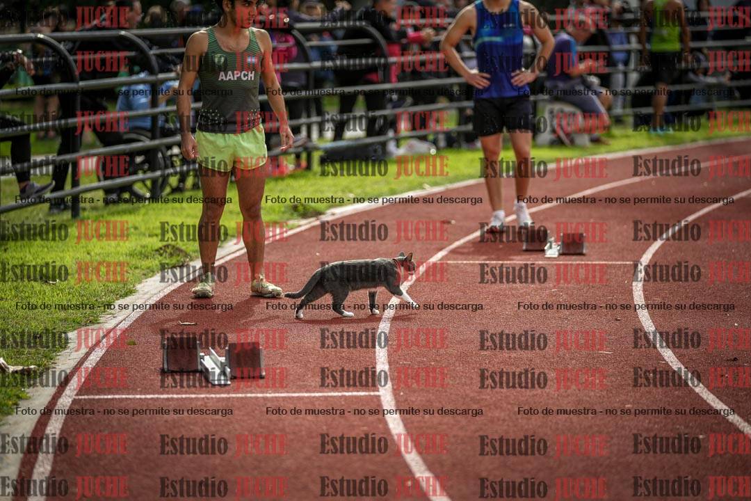 Fotos de algunos extras del torneo