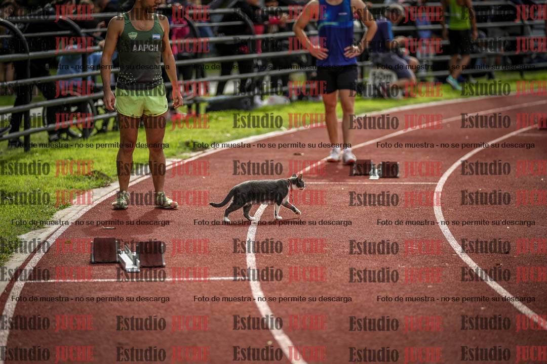 Fotos de algunos extras del torneo