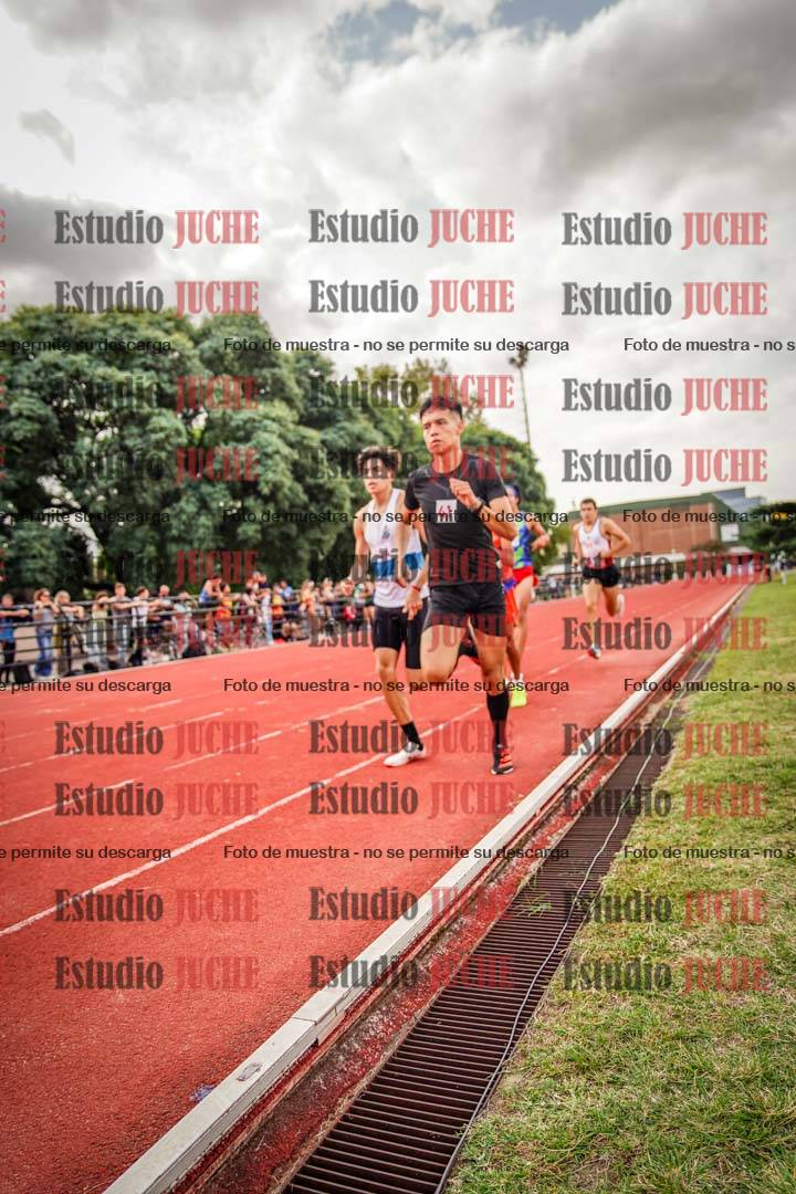 Fotos de los 800 m de varones