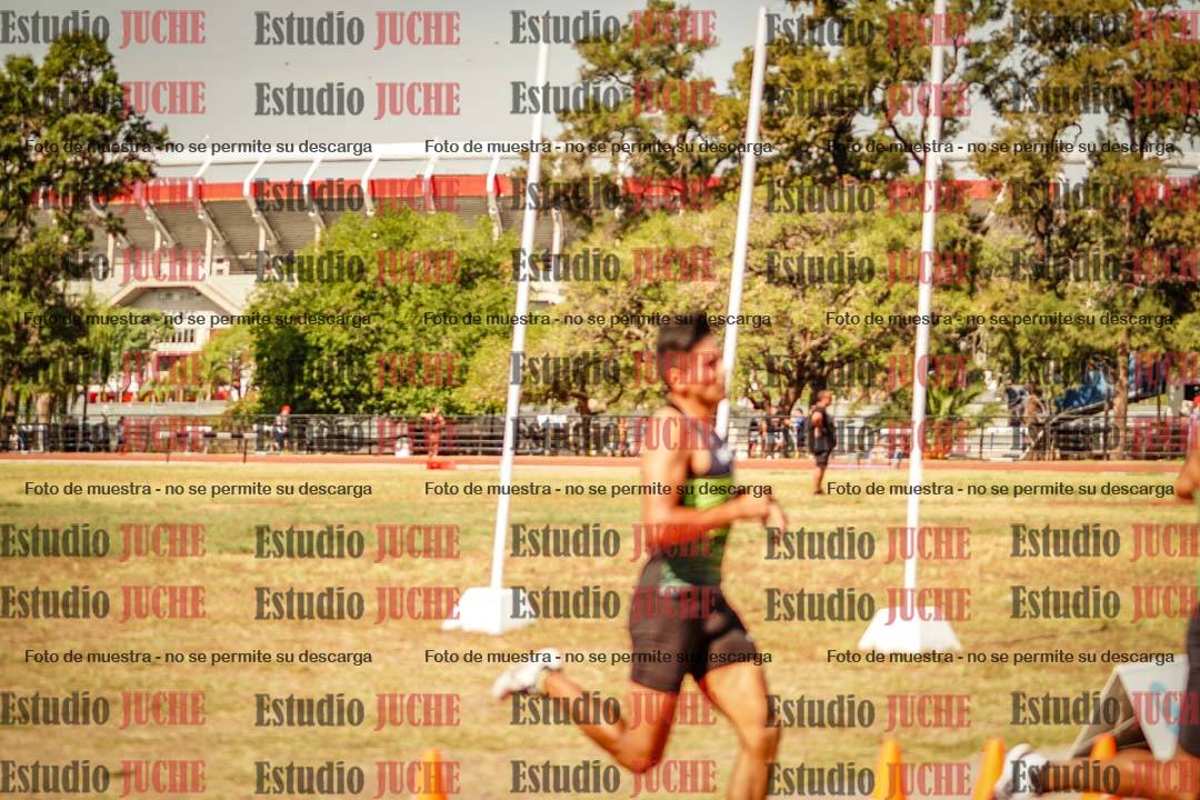 Fotos de los 800 m llanos de varones