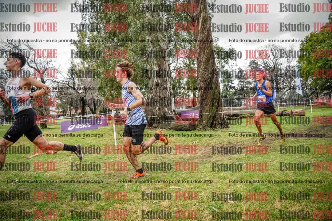 Fotos en el circuito