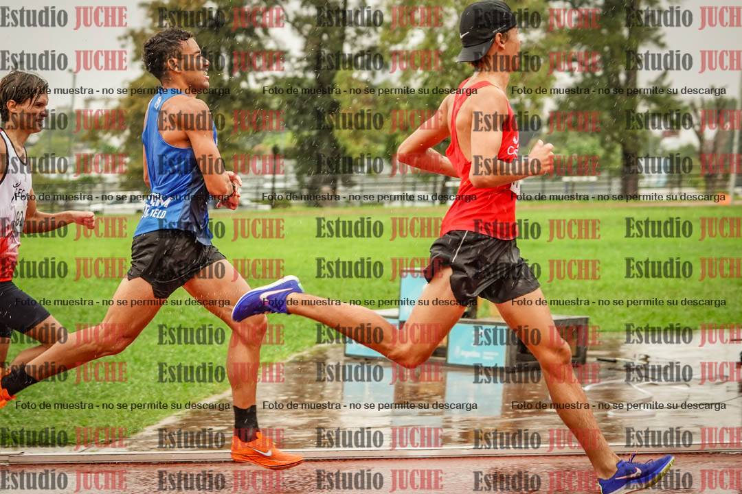 Fotos de los 800 m de varones