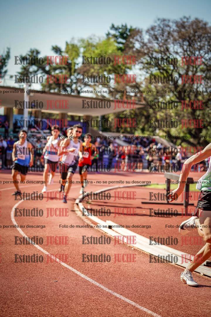 Fotos de los 600 m llanos de varones