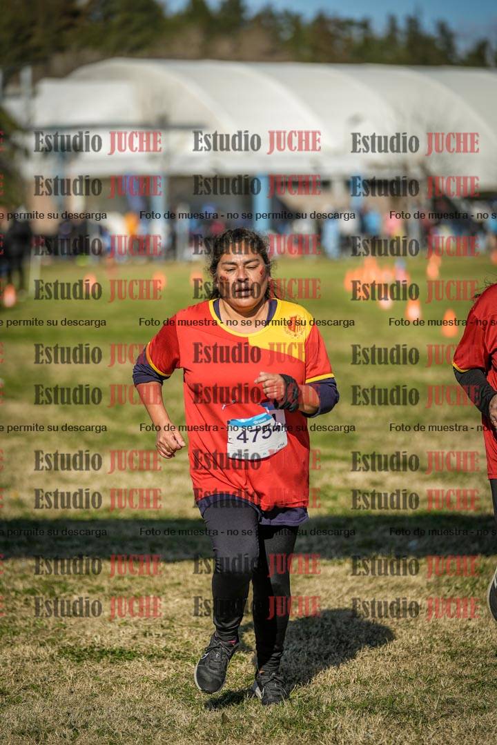 Fotos de las llegadas
