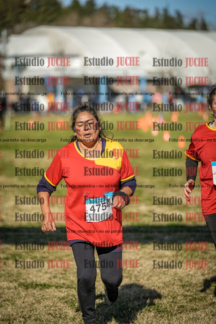 Fotos de las llegadas