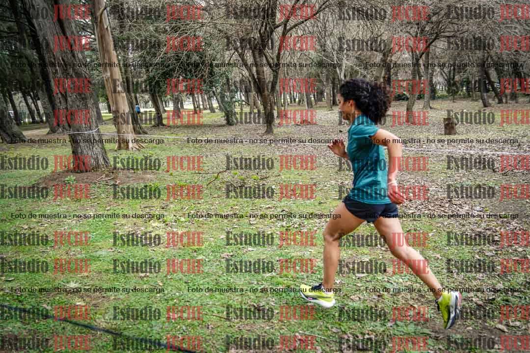 Fotos en el circuito