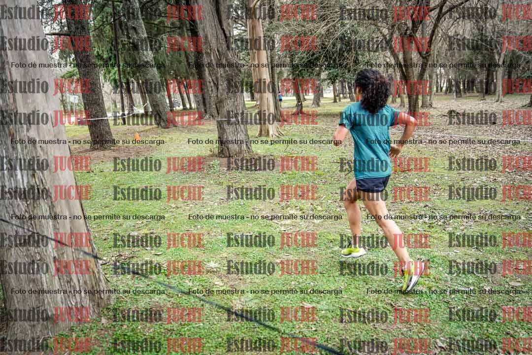 Fotos en el circuito
