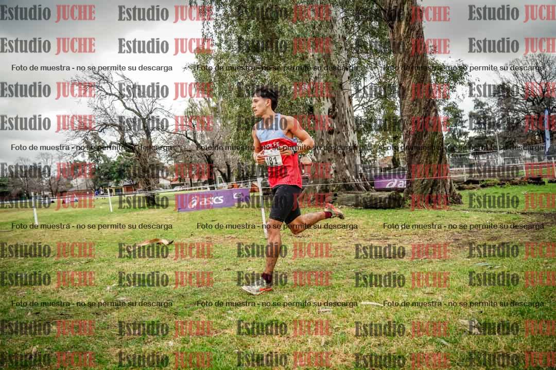 Fotos en el circuito