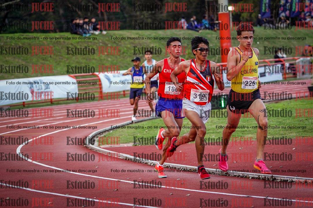 Fotos de los 10.000 m llanos de varones