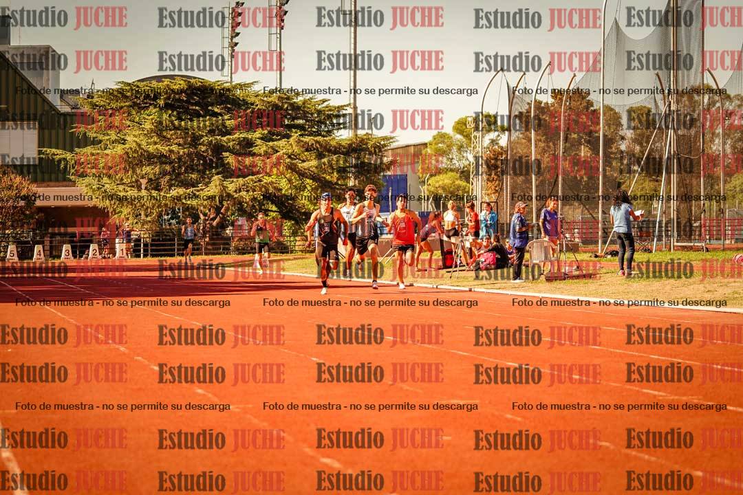 Fotos de los 800 m llanos de varones