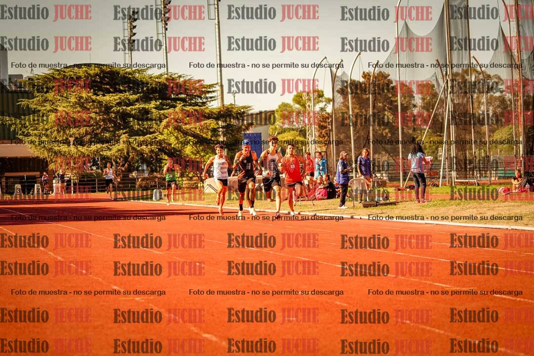 Fotos de los 800 m llanos de varones