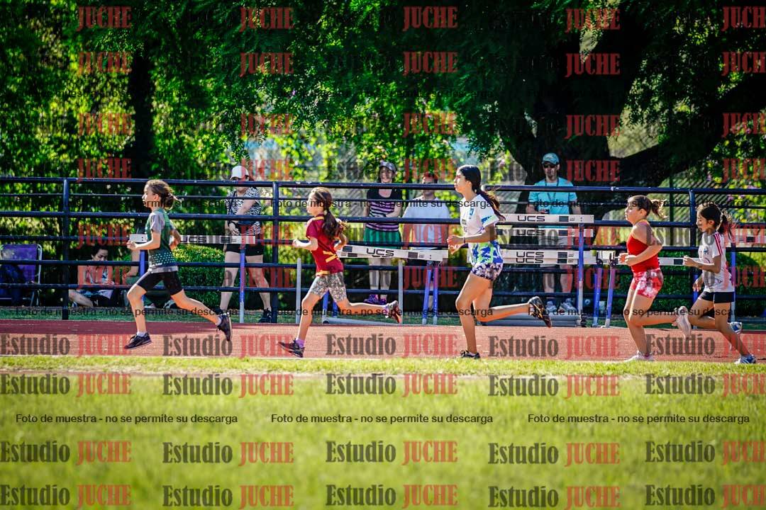 Fotos de los 1000 m llanos de mujeres