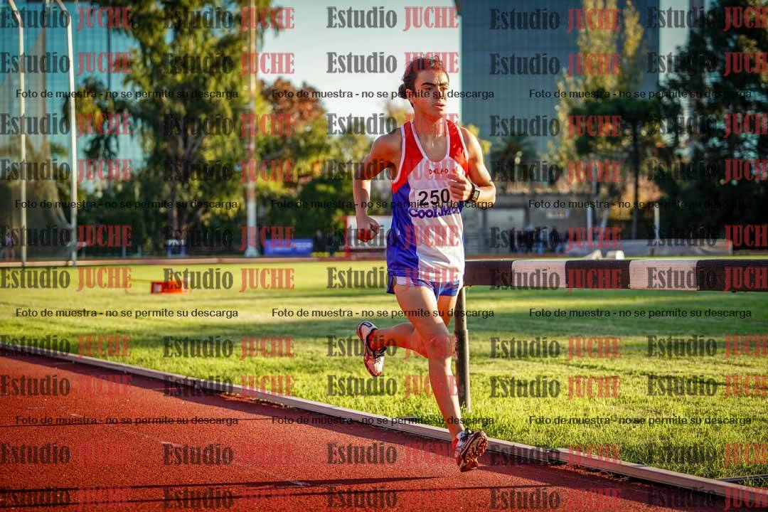Fotos de los 3000 m llanos de varones