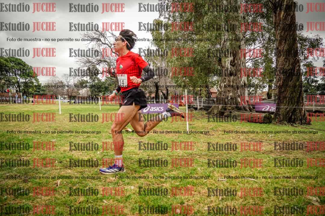 Fotos en el circuito