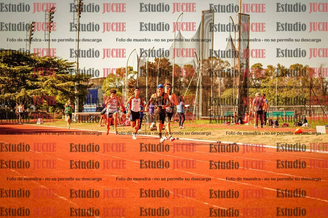 Fotos de los 800 m llanos de varones