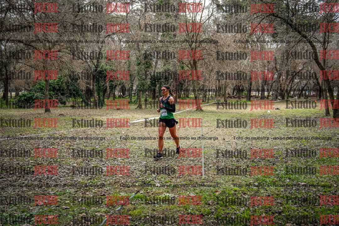 Fotos en el circuito