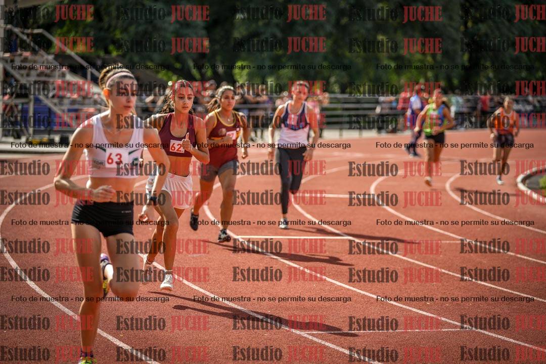 Fotos de los 800 m llanos de mujeres