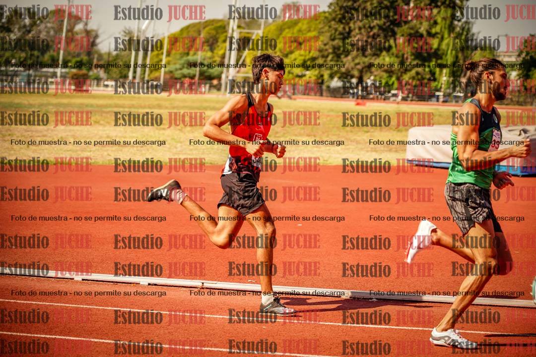 Fotos de los 800 m llanos de varones