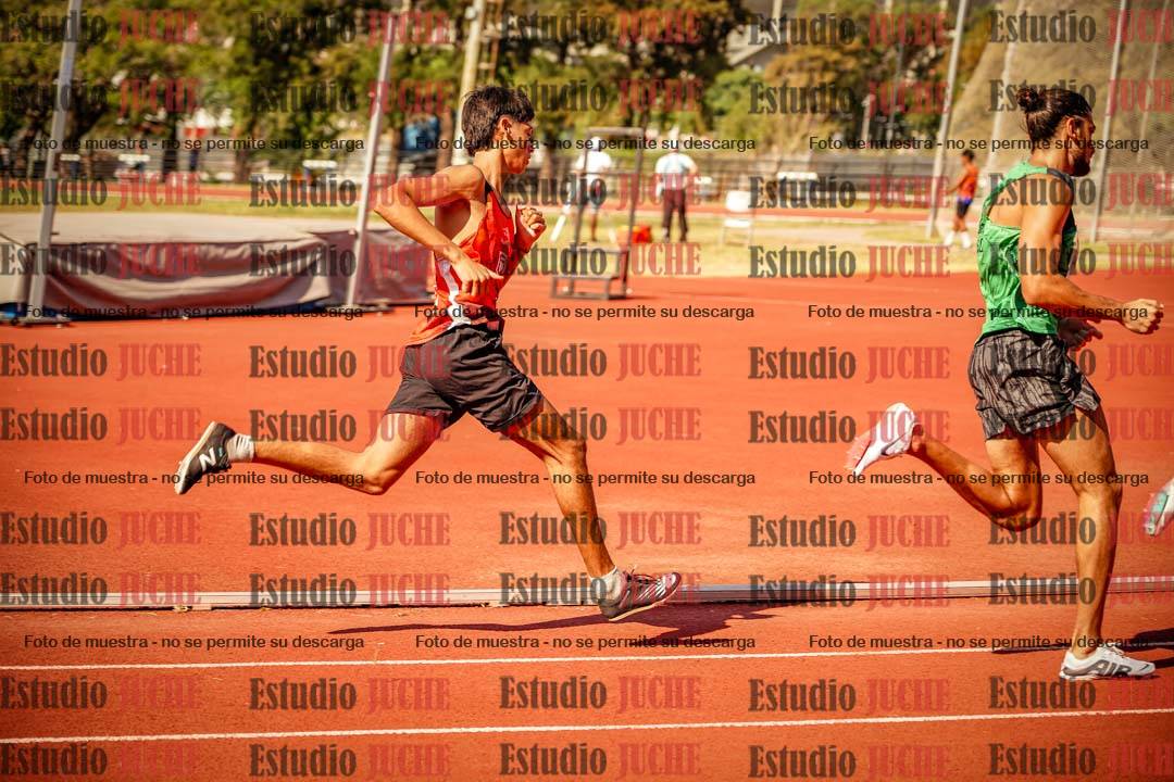 Fotos de los 800 m llanos de varones