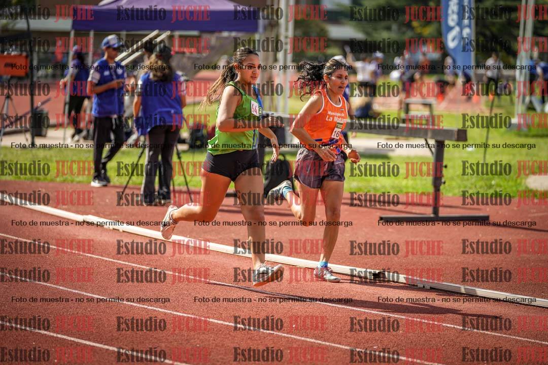 Fotos de los 800 m llanos de mujeres