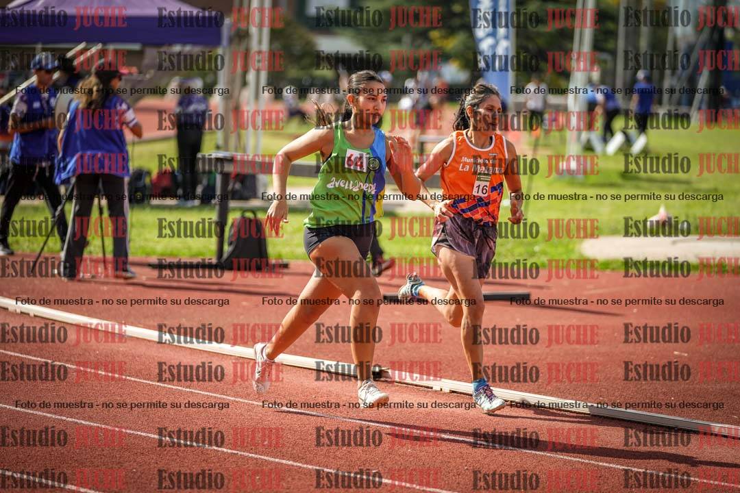 Fotos de los 800 m llanos de mujeres