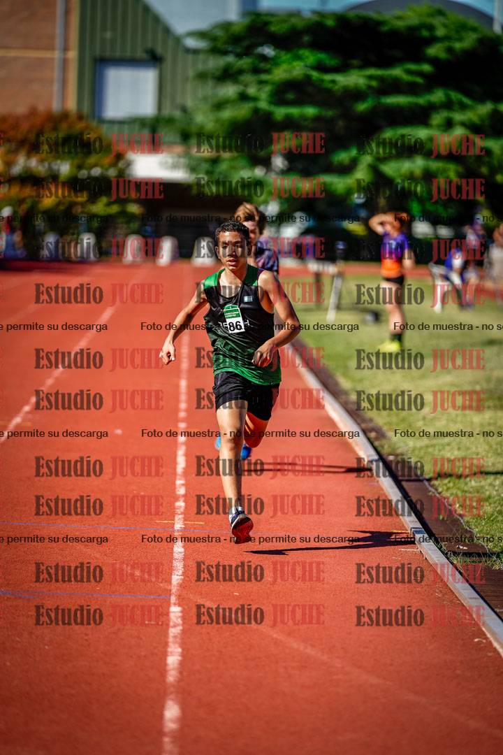 Fotos de los 1200 m llanos de varones