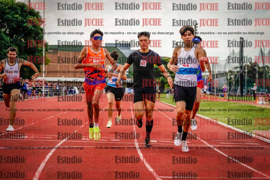 Fotos de los 800 m de varones