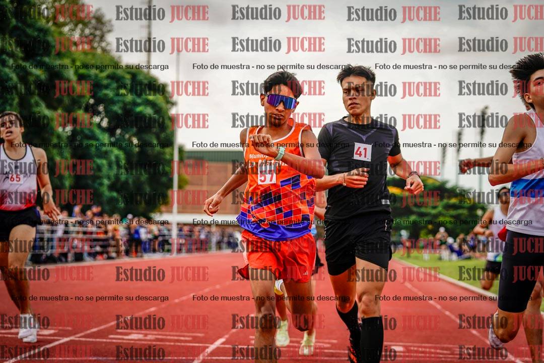 Fotos de los 800 m de varones