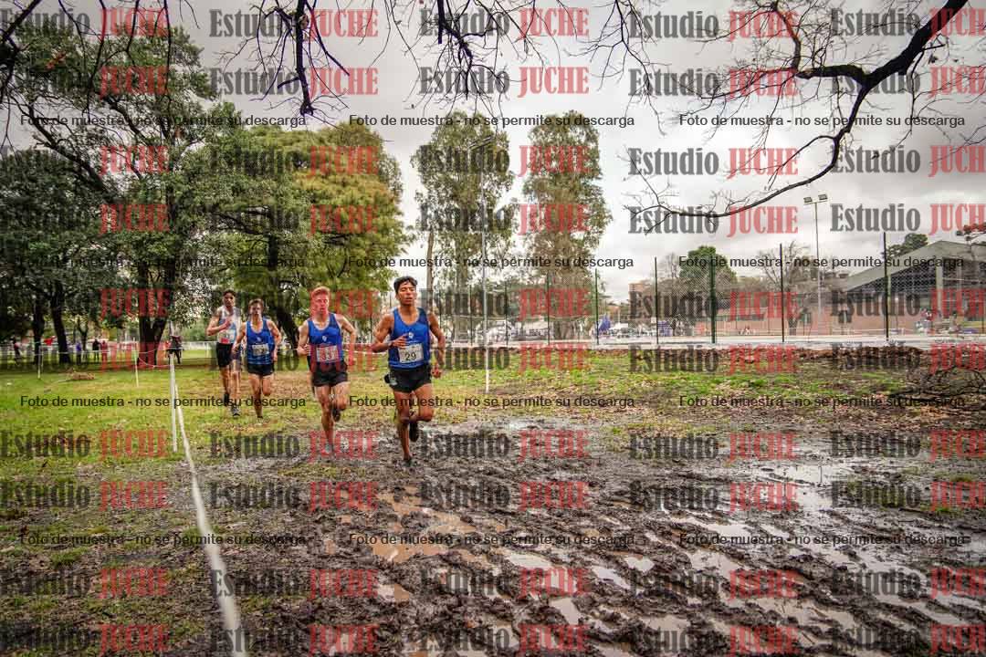 Fotos en el circuito