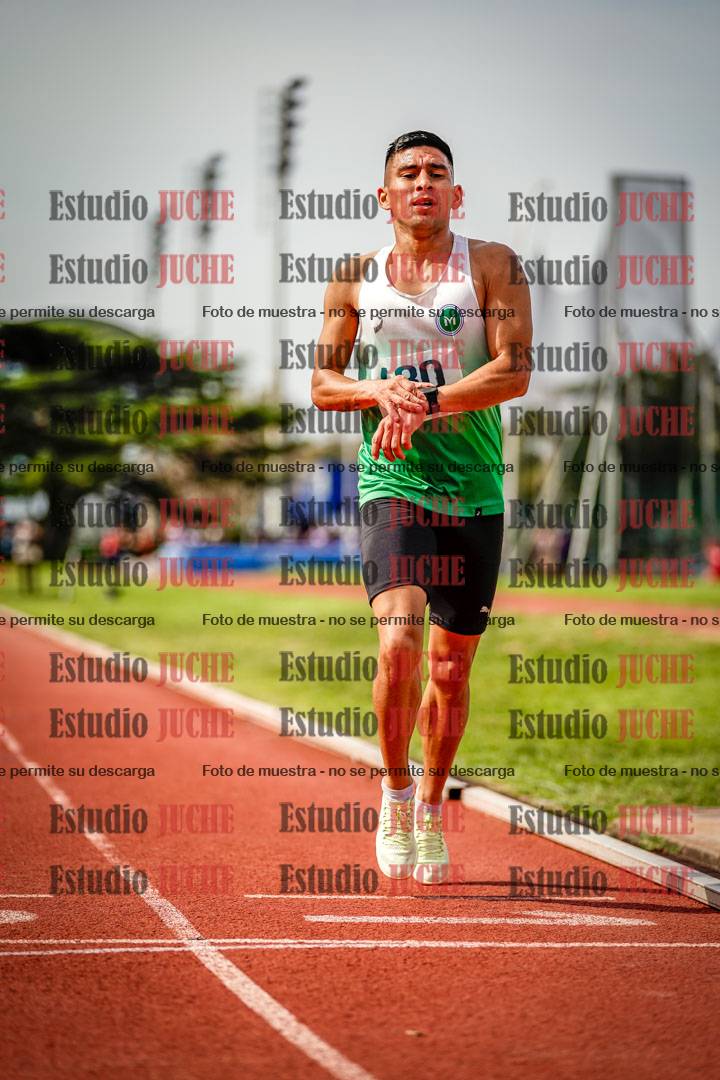 Fotos de los 3000 m llanos de varones