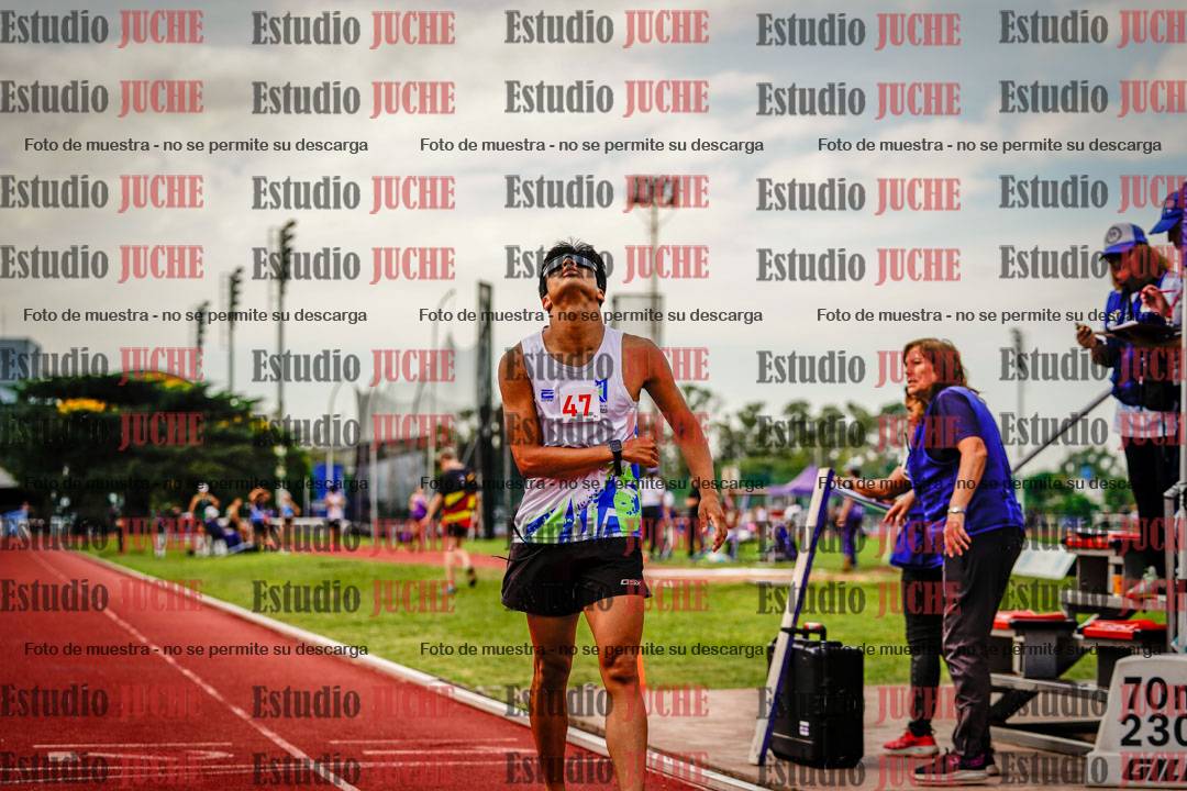 Fotos de los 800 m de varones