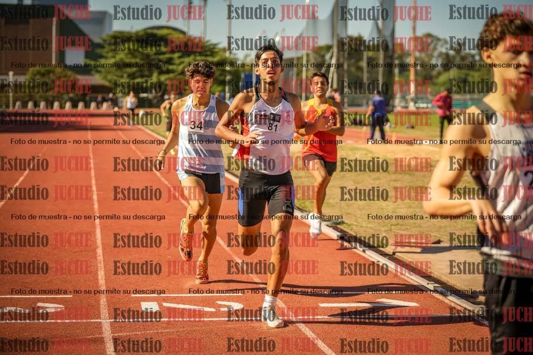 Fotos de los 800 m llanos de varones