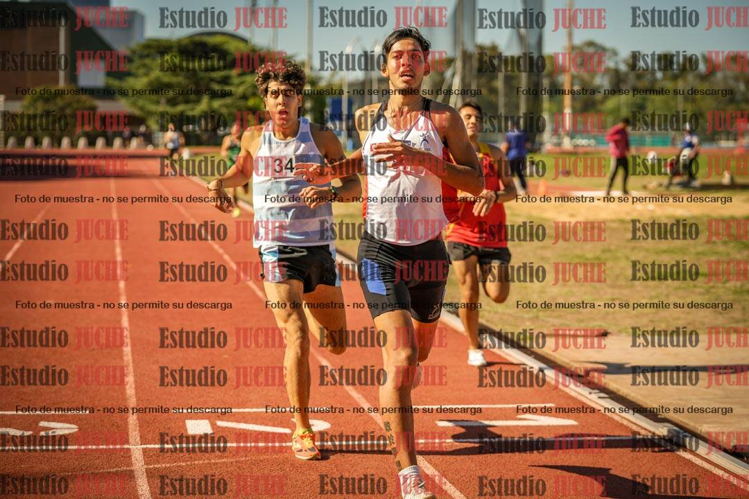 Fotos de los 800 m llanos de varones