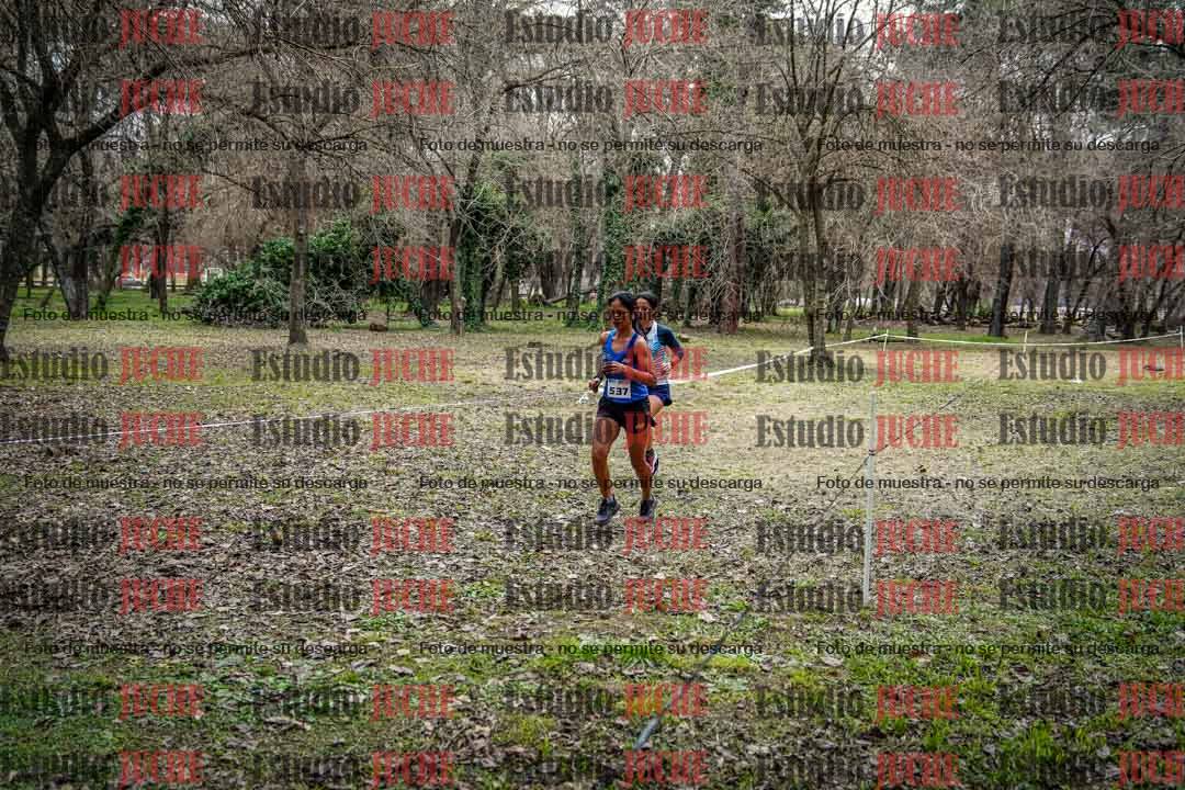 Fotos en el circuito