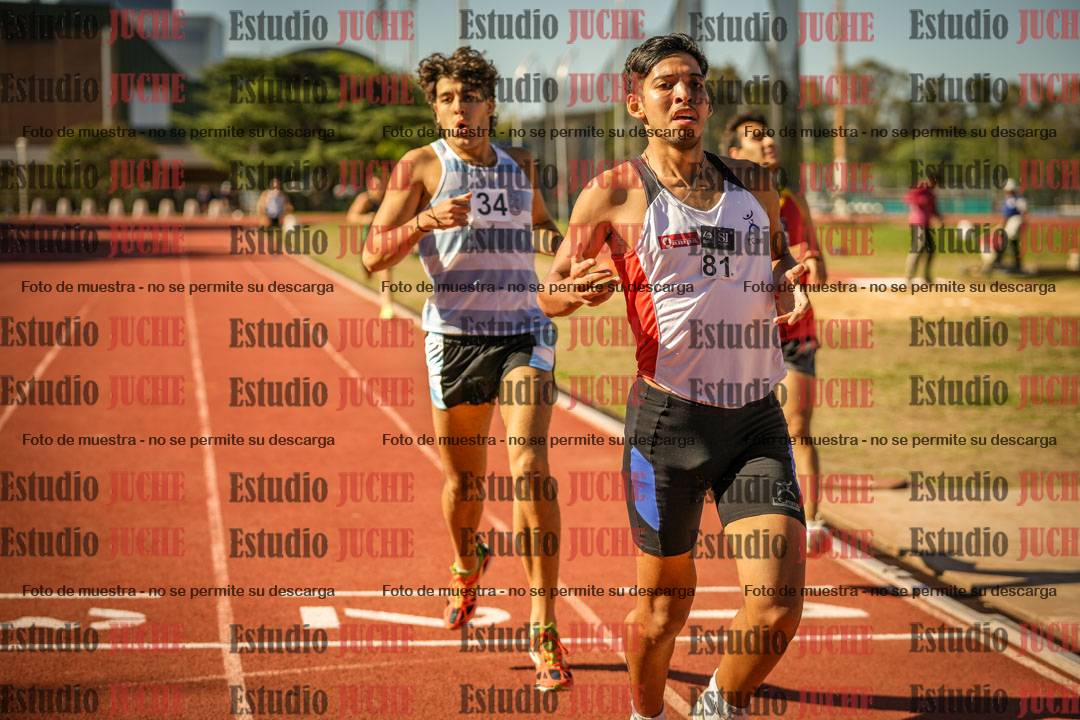 Fotos de los 800 m llanos de varones