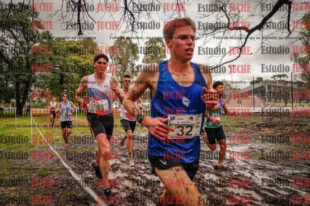Fotos en el circuito