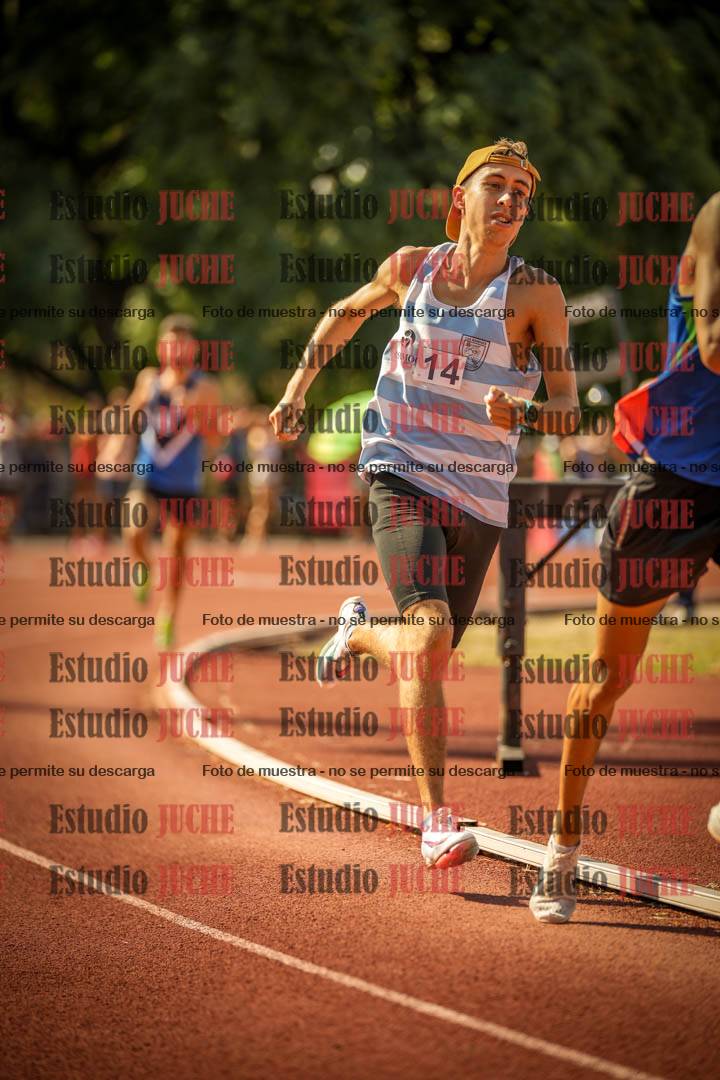 Fotos de los 800 m llanos de varones