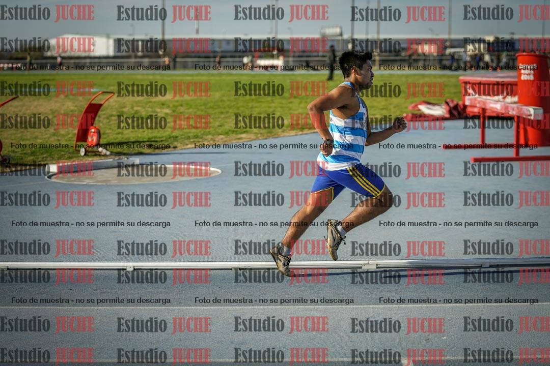 Fotos de los 1500 m llanos de varones
