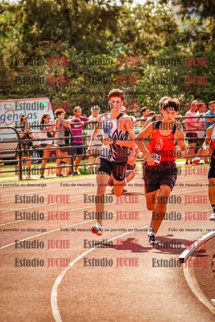 Fotos de los 800 m llanos de varones