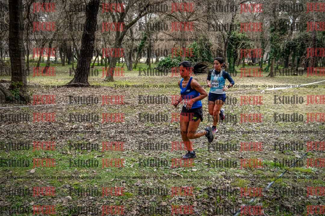 Fotos en el circuito