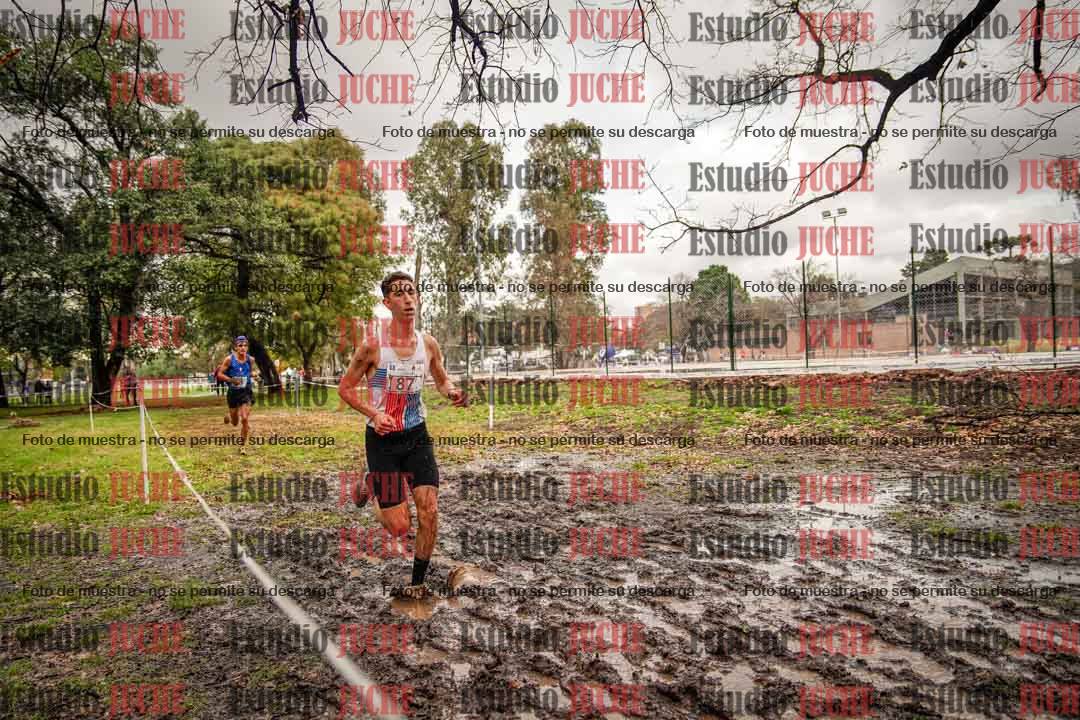 Fotos en el circuito